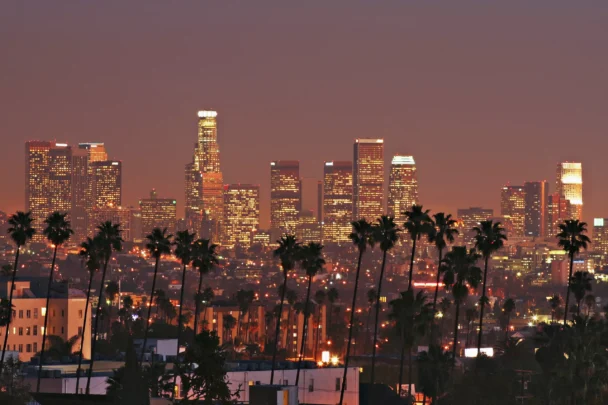 A nighttime view of a city skyline featuring tall, brightly lit skyscrapers against a dusky sky. The foreground is dotted with silhouetted palm trees, adding to the urban scenic vista. - Hausion