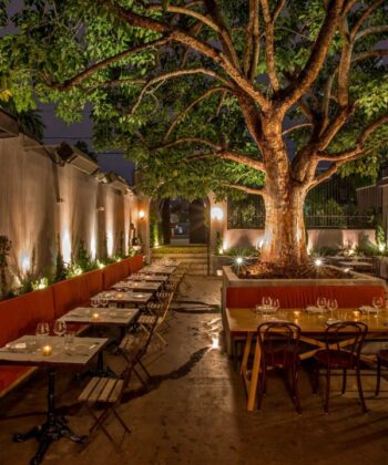 Outdoor dining area illuminated at night, featuring a beautifully lit tree, creating a serene and inviting atmosphere. - Hausion