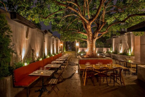 Outdoor dining area illuminated at night, featuring a beautifully lit tree, creating a serene and inviting atmosphere. - Hausion